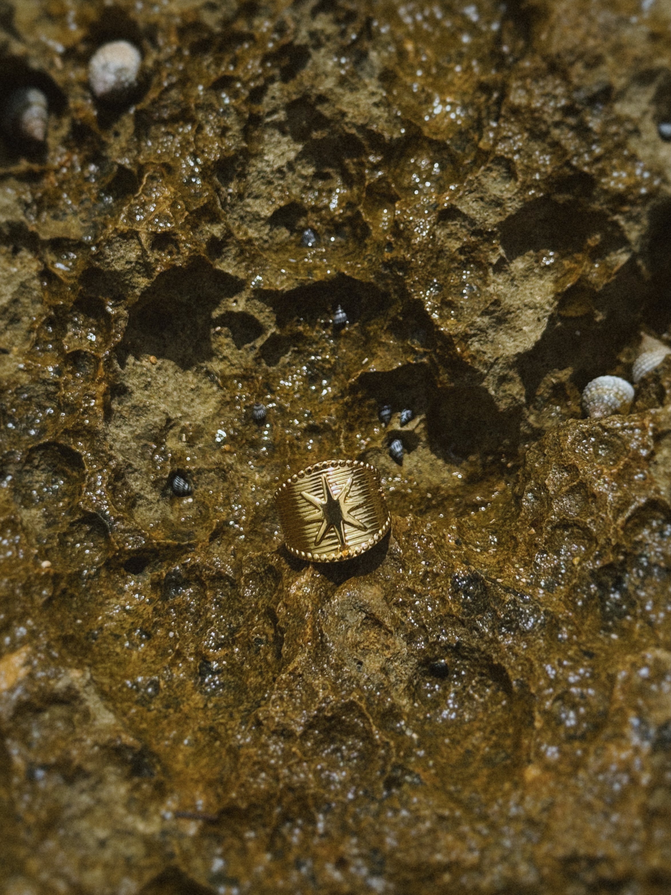 rings