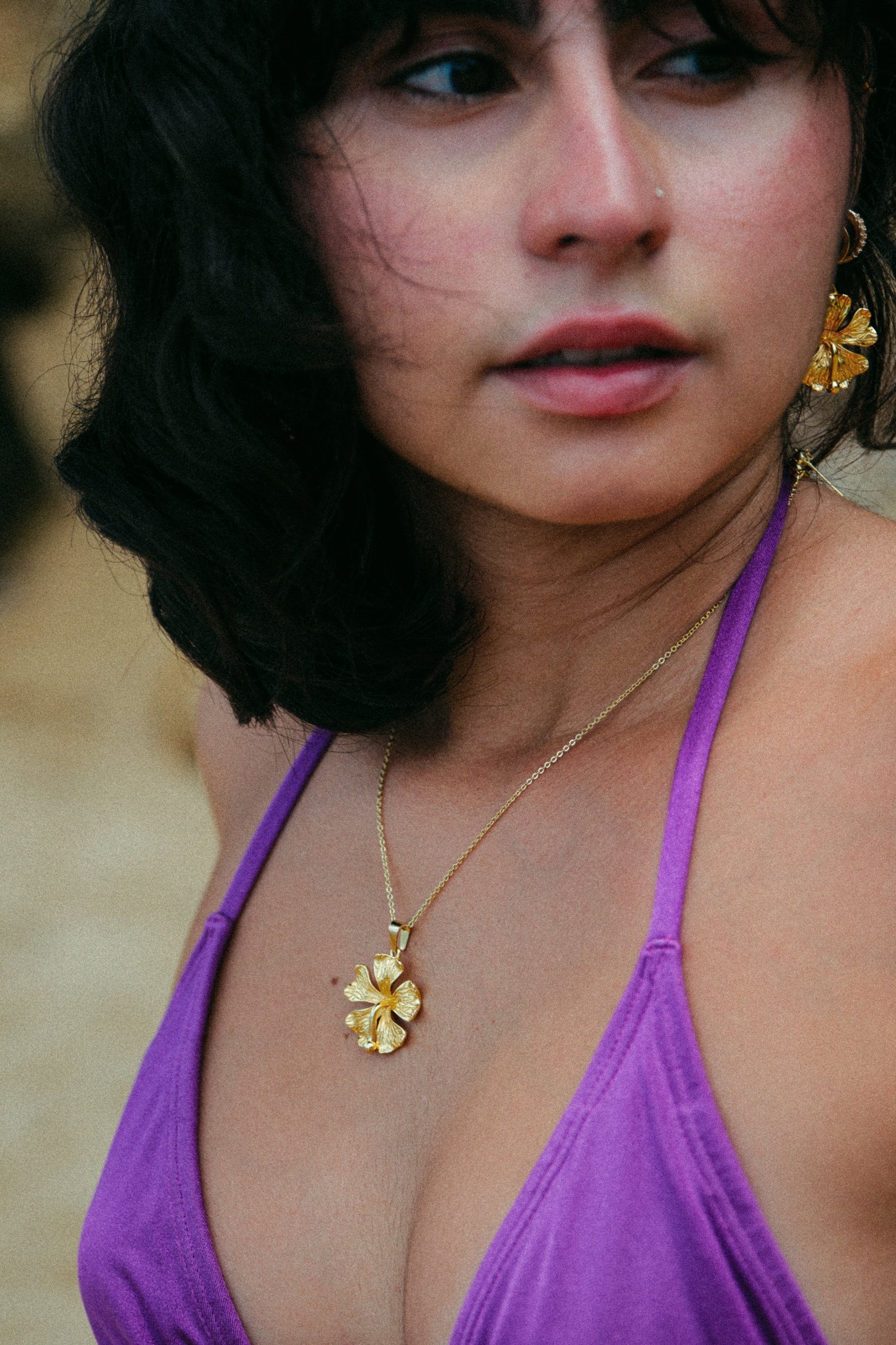 Amapola